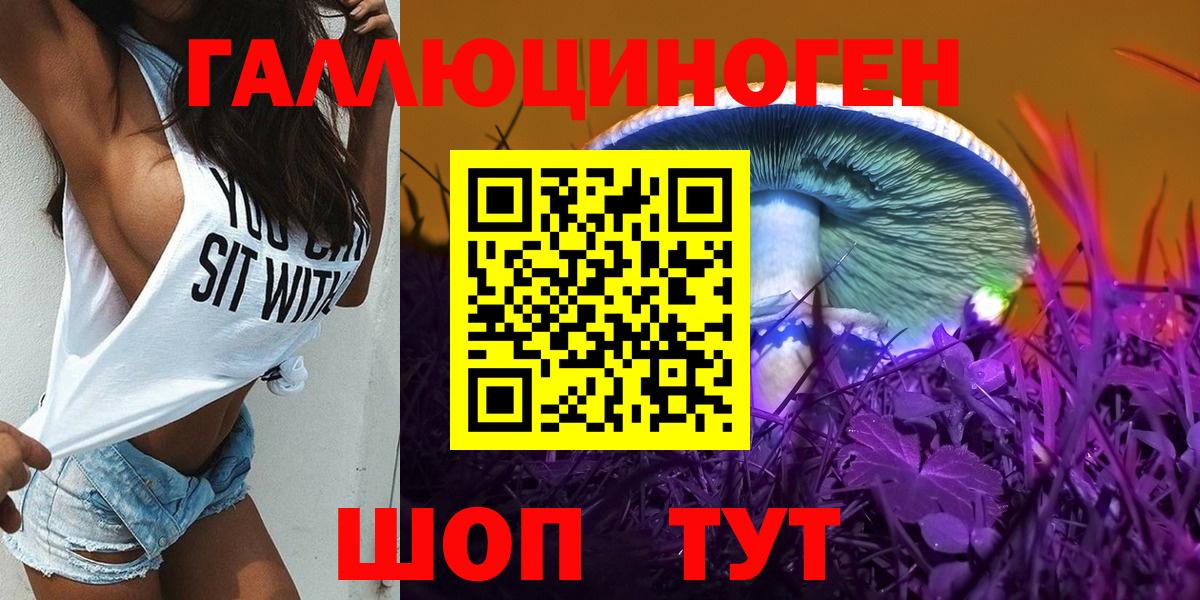 Малгобек  Псилоцибиновые грибы мухоморы  Вход с VPN 